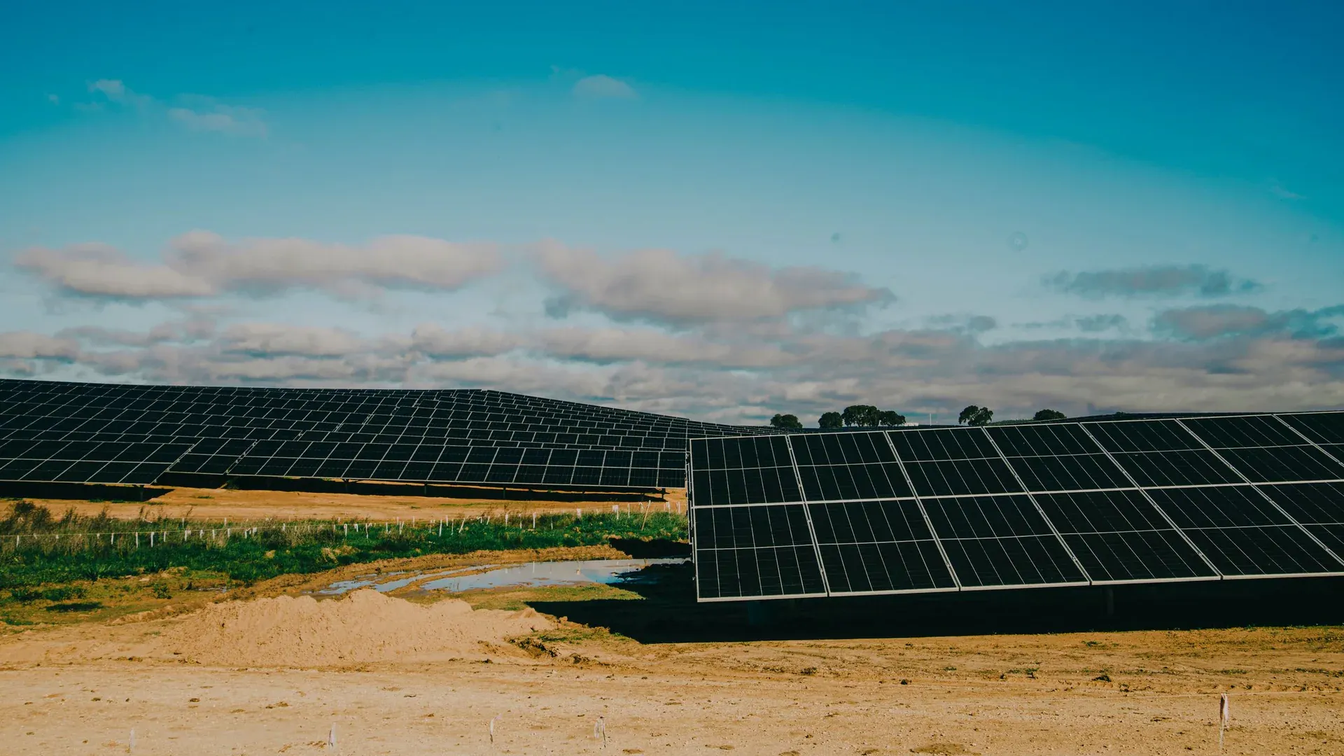 A vast solar farm in a desert setting under clear blue skies, showcasing renewable energy