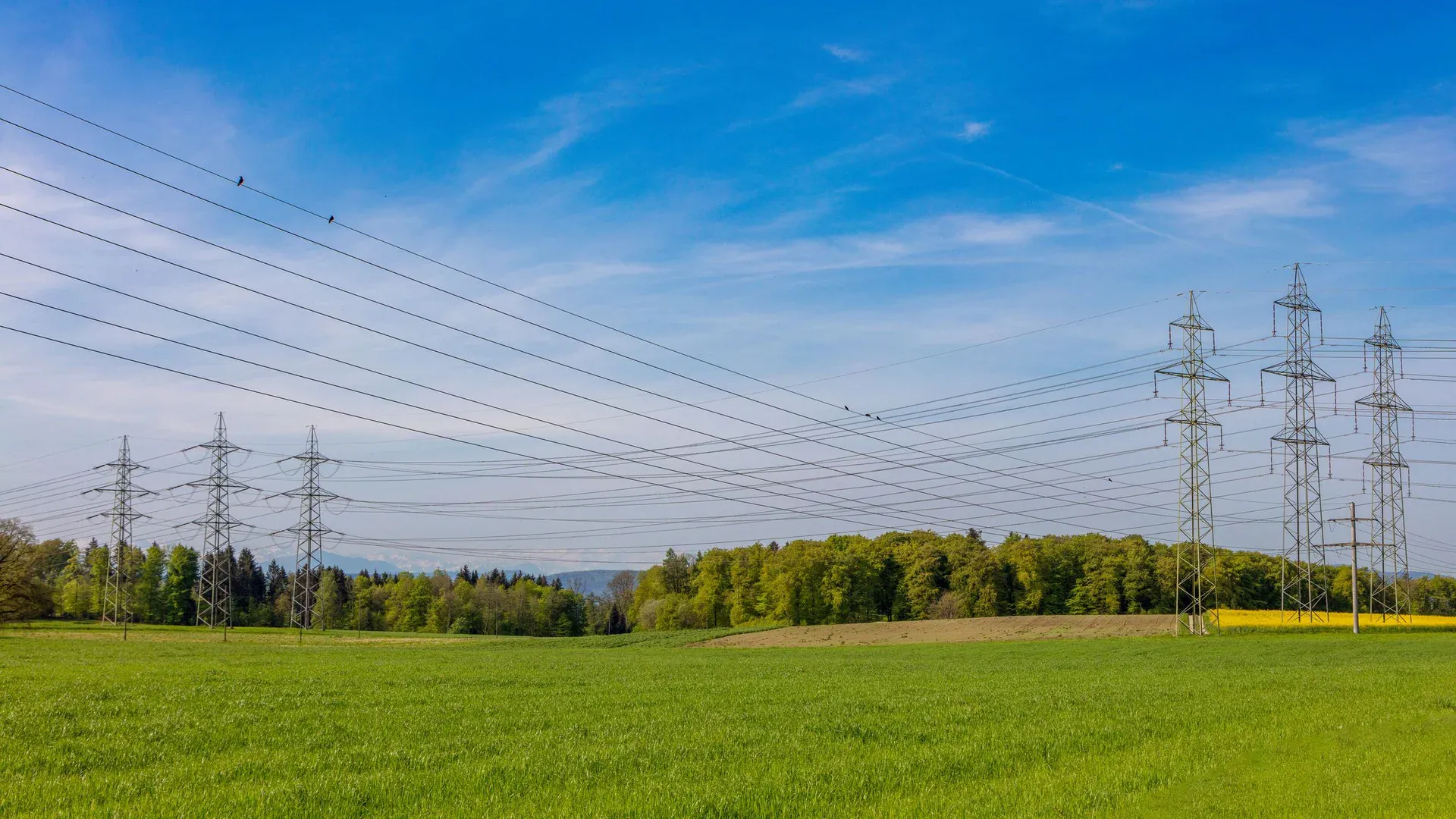 High voltage power lines stretch across a lush green field in Winterthur, Switzerland