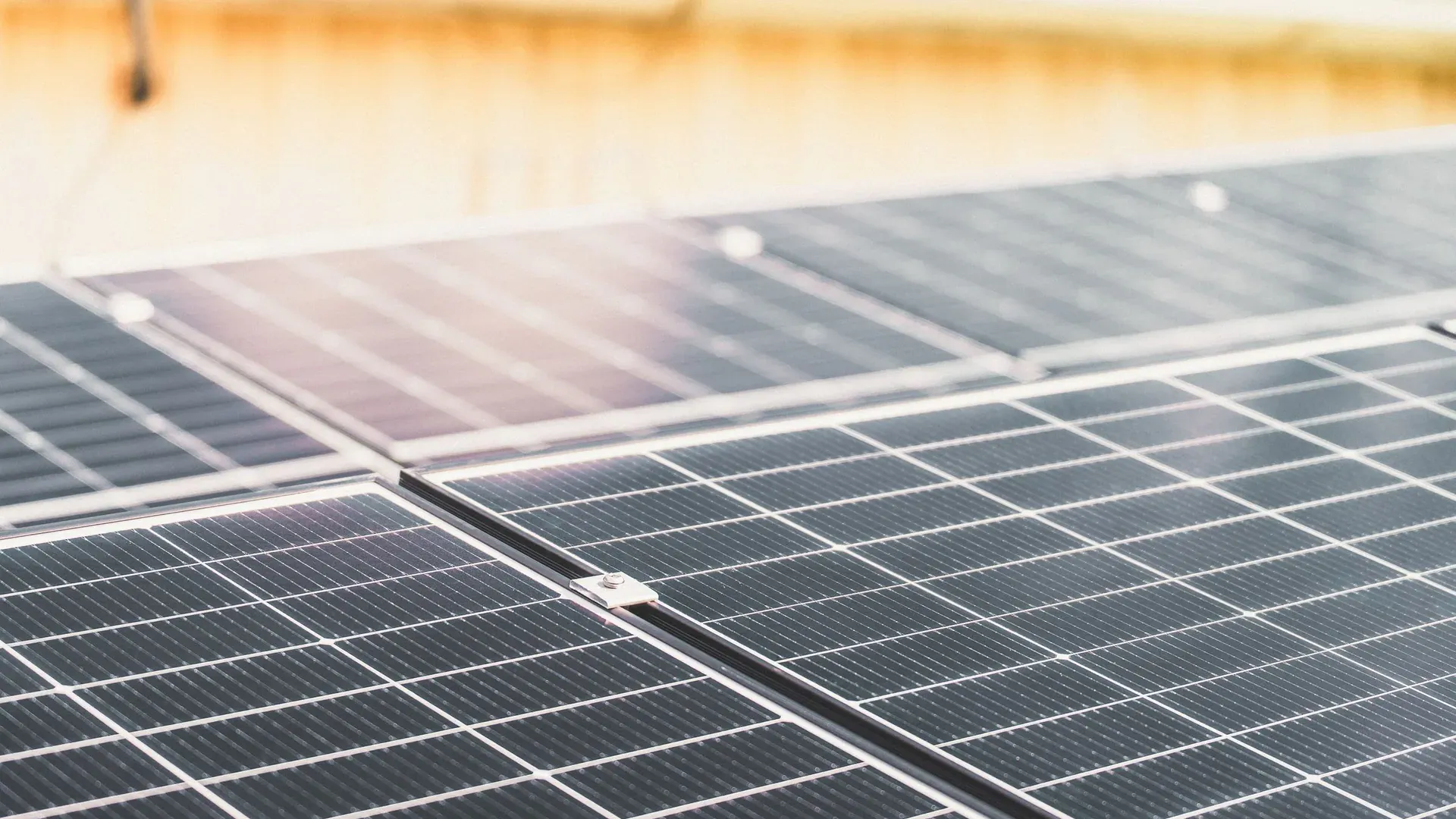 Close-up of photovoltaic modules and conductive cell lines