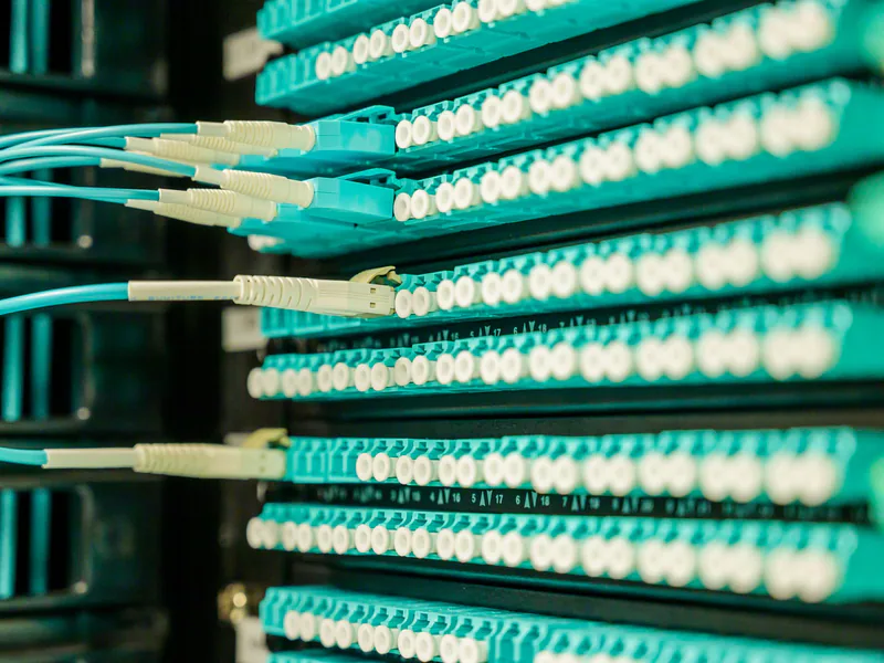 Networking cables plugged into a patch panel, showcasing data center connectivity