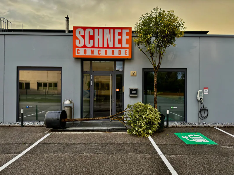 A modern business building exterior in Traun, Austria, showing a fallen tree in the parking lot